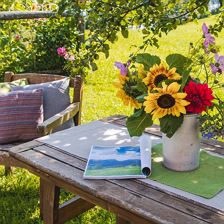 Sitzplatz im Garten