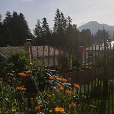 Bergblick