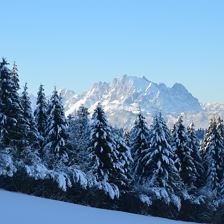 Wilder Kaiser Winter