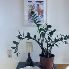 D30A58F2-9C6A-4D1F-A771-CD8A8BFAB592_1_105_c