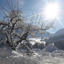 20190116_125017