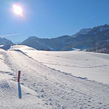 WP_20190206_09_41_03_Rich_aufgehellt