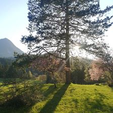 Frühling
