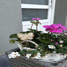 IMG_8368