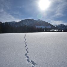 Blick auf den Karstein von der Weissachloipe aus (