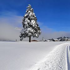 Blick auf Hochfilzen von der Dorfloipe (c) Marion 