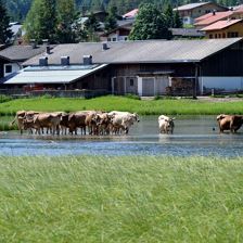 Pillersee Kurzurlaub 3.Tag_20