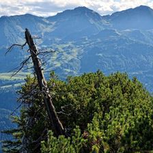 St. Jakob i. H. Buchensteinwand_13