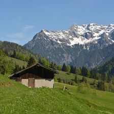 Frühling