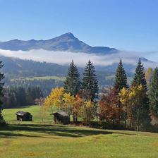 Herbstlandschaft