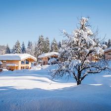 Winteraufnahme Chalets Grosslehen