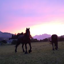 Abendstimmung am Bauernhof