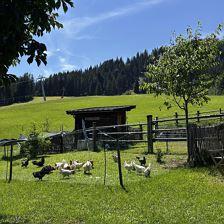 IMG_2986