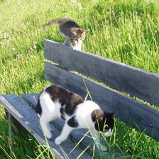 Franzl und Vicki