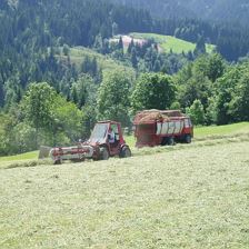 Heuernte