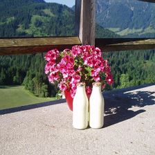 täglich frische Milch 