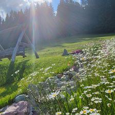 Holz-Hollywoodschaukel