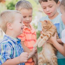 Unsere Katze Luise - eine echte Spielgefährtin.