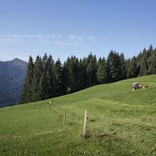 Flecklhof_beim Mähen
