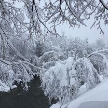 schnee jän (3)