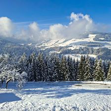 Apartment_Auszeit_bei_Christl_Glantersberg_54a_Hop