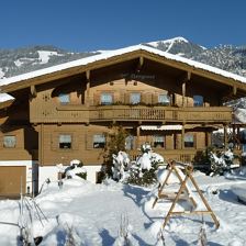 Bergrose Winter