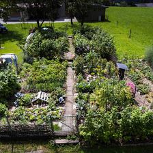 Überblick Garten