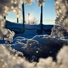 Winter1