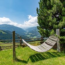 Garten Ausblick Sommer