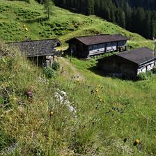 Die urige Hochalm