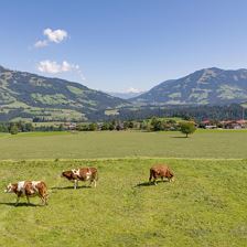 Ausblick
