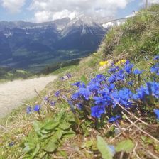 IMG_20240520_133400