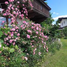 IMG_20240607_154307