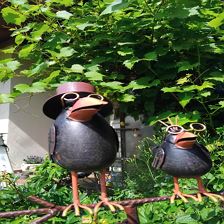 IMG_20240607_154416
