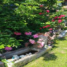 IMG_20240607_154425