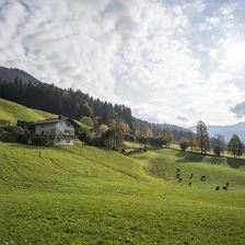 Lindenplatz Sommeransicht (c)Vermietung Ossanna_Fo