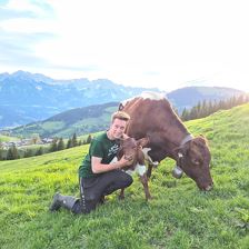Feldgeburt auf unserer Alm
