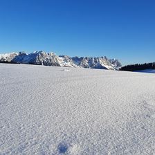 Schneelandschaft