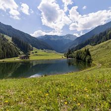 See Kelchsau