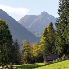 Ausblick