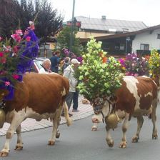Almabtrieb