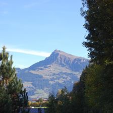 Ausblick auf Kitzbüheler Horn im Sommer