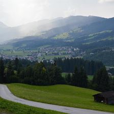 _DSC0294