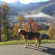 Kinder mit Pferd