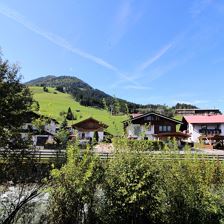 IMG_2428