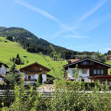 IMG_2429