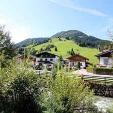 IMG_2430