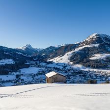 Ferienhaus_Walden_Vorderer_Sonnberg_54_Kirchberg_0