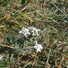 IMG-20160927-WA0025