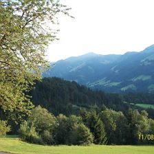 Weitblick